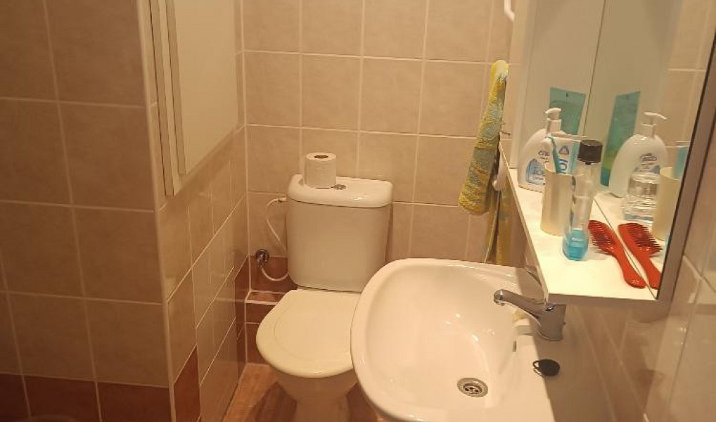 Pronájem bytu 1+1 36 m², Olomouc – náhled fotky 5