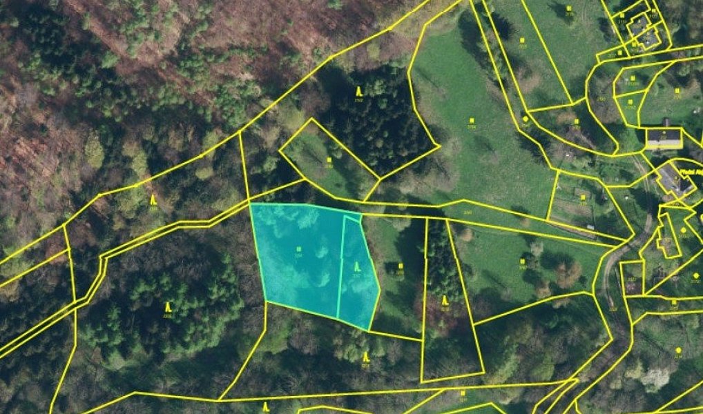 Prodej louky 3 205 m², Branná – náhled fotky 3