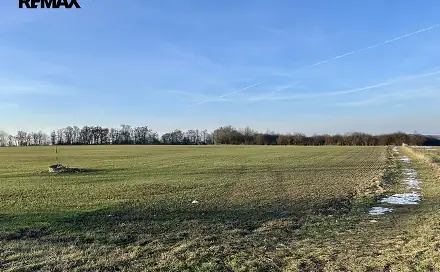 Prodej pole 67 156 m², Velké Přílepy, okres Praha-západ