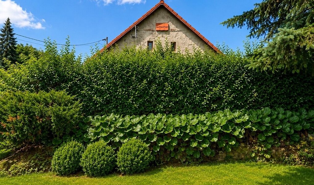 Prodej chaty/chalupy 90 m² s pozemkem 576 m², Mlečice – náhled fotky 20