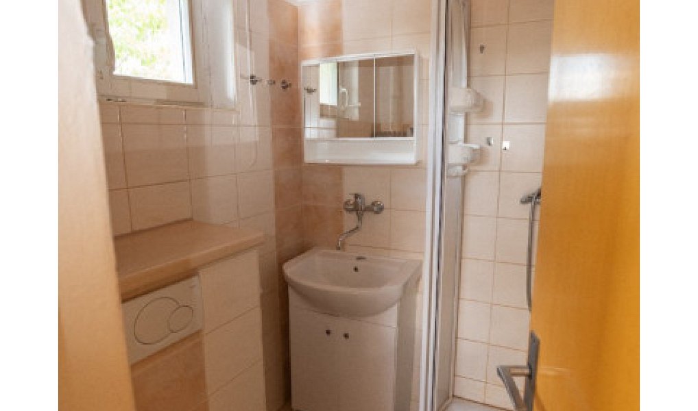 Prodej chaty/chalupy 57 m² s pozemkem 385 m², Plzeň – náhled fotky 5