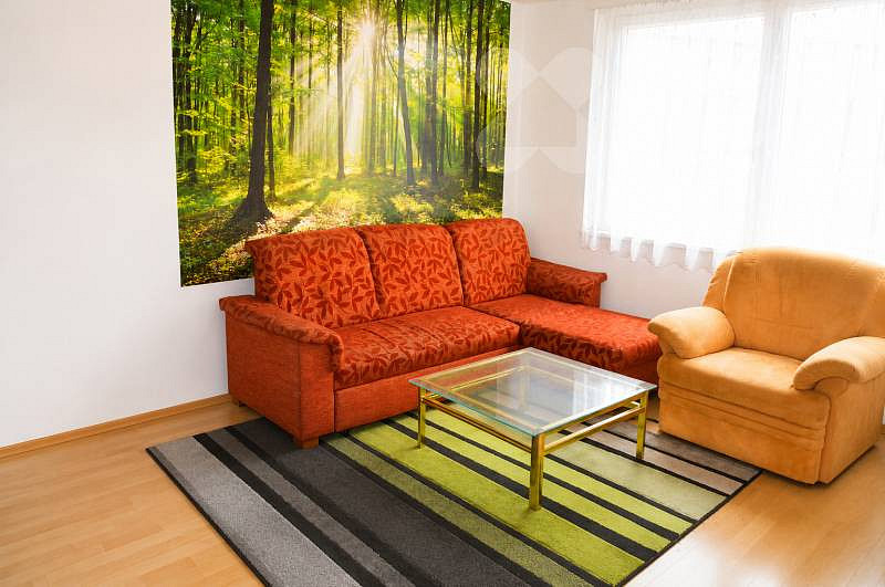 Prodej bytu 2+1 56 m² — photo 3