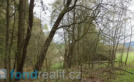 Prodej pole 1 208 m², Bělá nad Radbuzou, okres Domažlice
