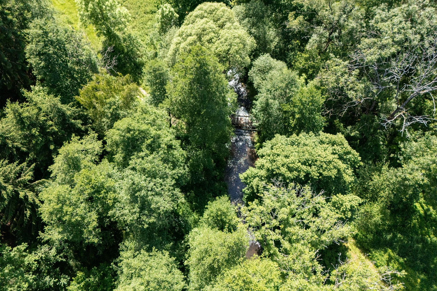 Prodej stavebního pozemku 114 846 m² – fotografie 4