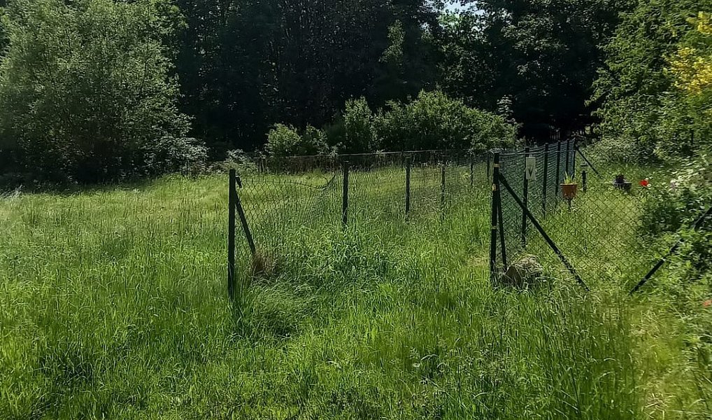 Prodej stavebního pozemku 1 800 m², Staré Křečany – náhled fotky 4