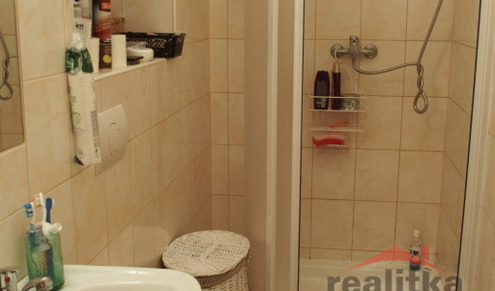 Pronájem bytu 1+kk 30 m², Opava – náhled fotky 3