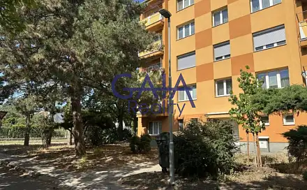 Prodej bytu 1+1 39 m², Brandlova, Hodonín