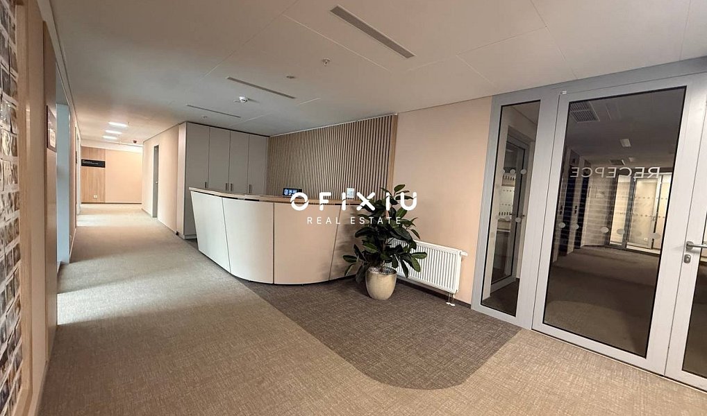 Pronájem kanceláře 300 m², Praha – náhled fotky 15