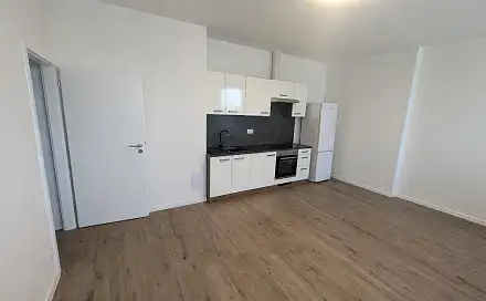 Pronájem bytu atypického 69 m², Františka Halase, Most