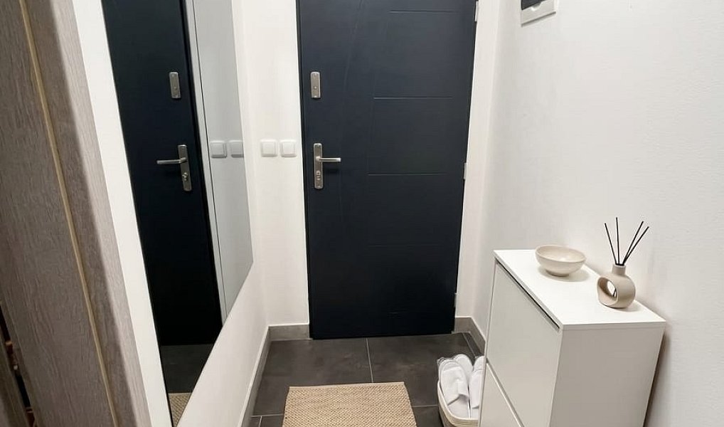 Prodej bytu 3+kk 53 m², Mokrá-Horákov – náhled fotky 6