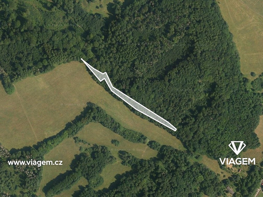 Prodej lesa 1 343 m² – pohled 2