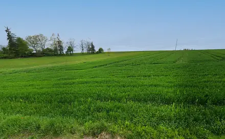 Prodej komerčního pozemku 10 581 m², Žirovnice - Litkovice, okres Pelhřimov
