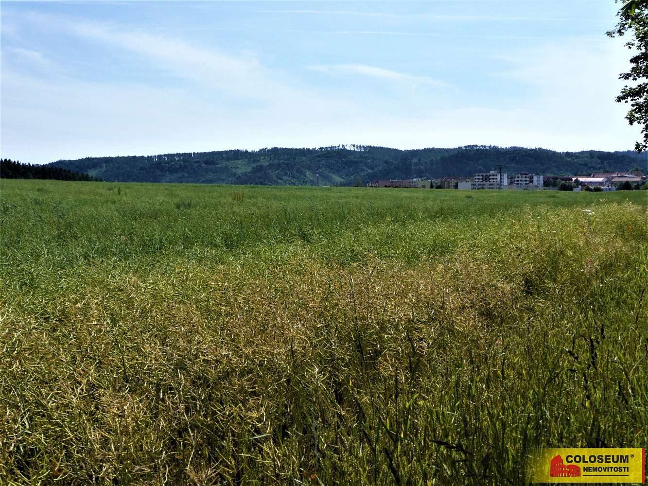 Prodej pole 7 225 m² – fotografie 2