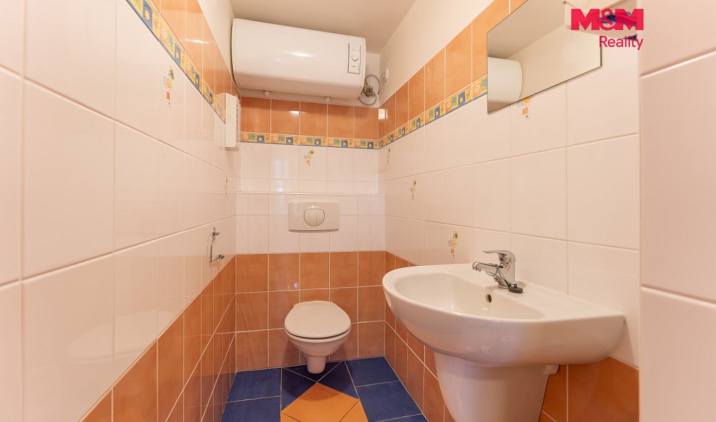 Prodej domu 270 m² s pozemkem 992 m², Loučná pod Klínovcem – náhled fotky 9