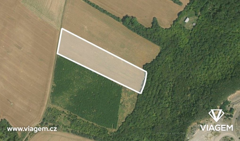 Prodej pole 4 732 m², Teplice – náhled fotky 4