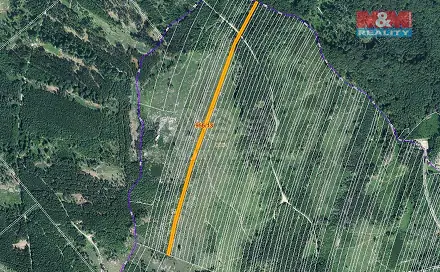 Prodej lesa 5 695 m², Nová Hradečná, okres Olomouc