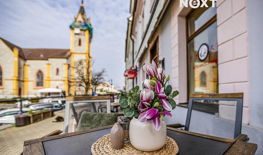 Prodej domu 533 m² s pozemkem 533 m², Hluboká nad Vltavou – náhled fotky 7
