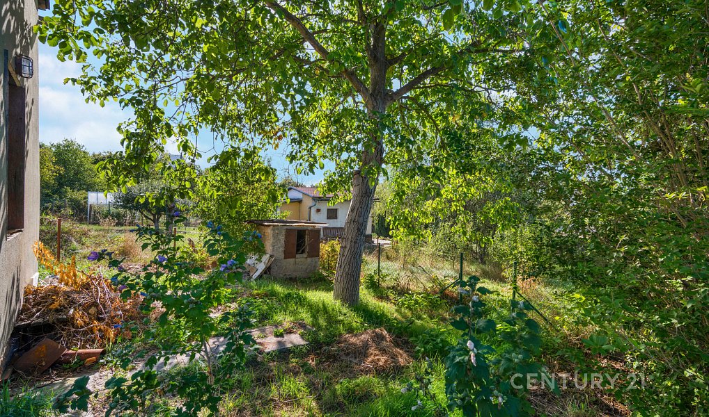 Prodej chaty/chalupy 26 m² s pozemkem 358 m², Brno – náhled fotky 13