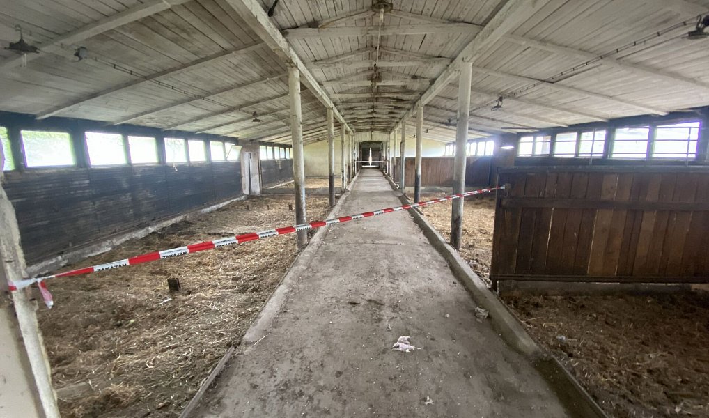 Prodej zemědělského objektu 1 050 m², Žlebské Chvalovice – náhled fotky 16