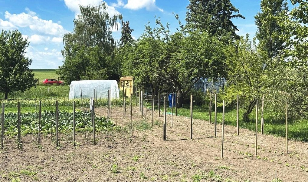 Prodej zahrady 1 306 m², Dolní Bezděkov – náhled fotky 8
