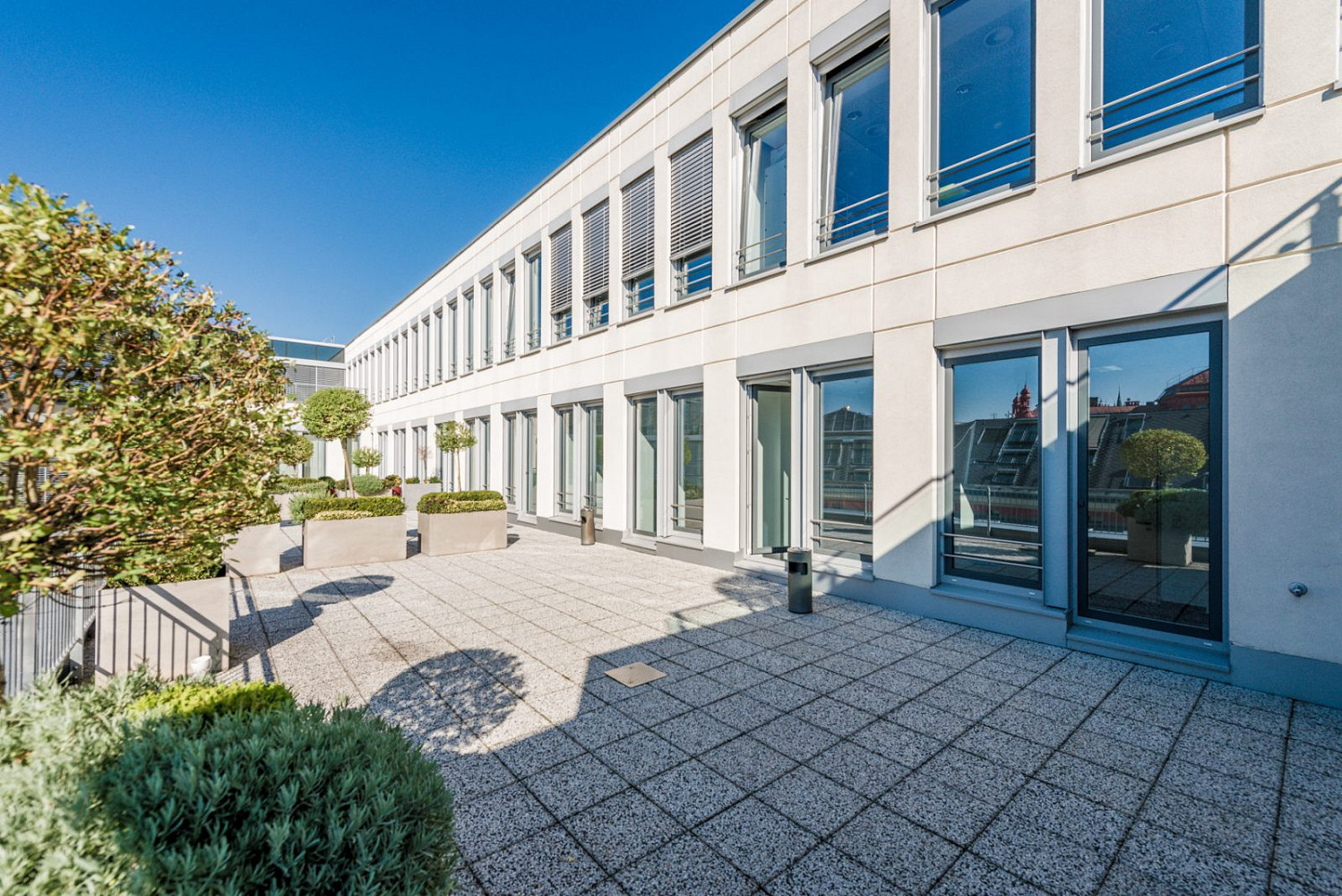 Pronájem kanceláře 769 m² – fotografie 5