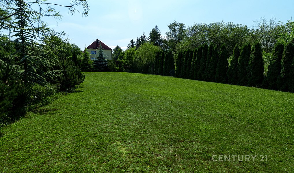 Prodej domu 545 m² s pozemkem 2 148 m², Chlumčany – náhled fotky 8