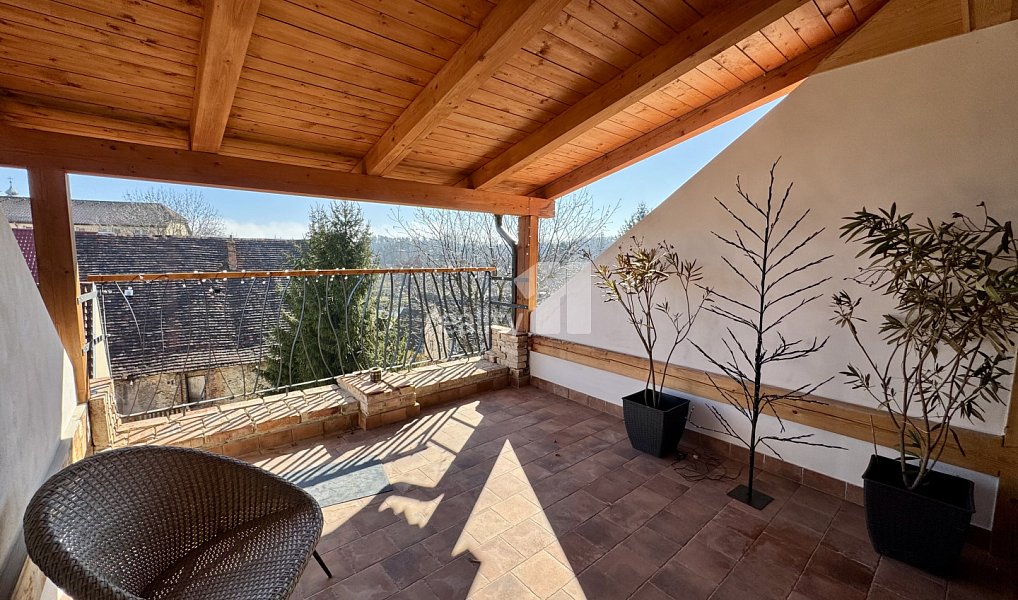 Prodej domu 461 m² s pozemkem 290 m², Malešov – náhled fotky 8