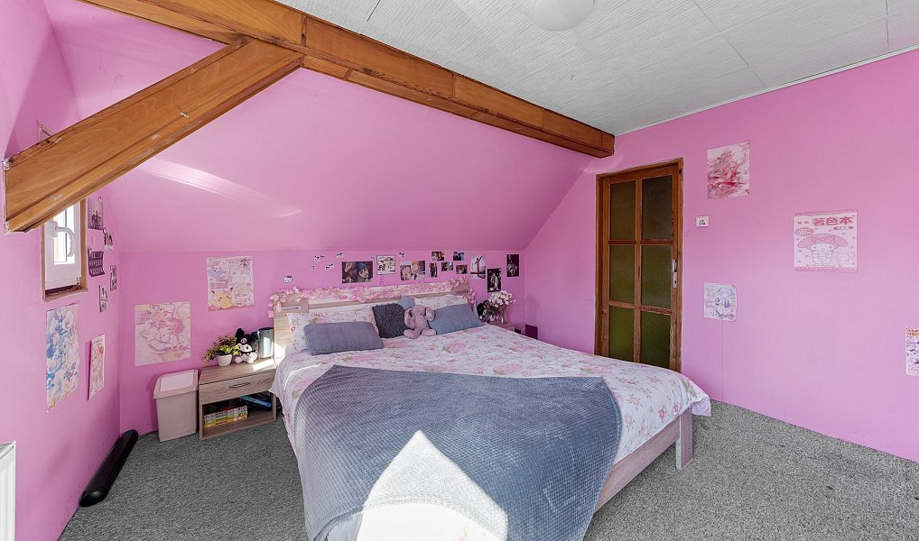 Prodej domu 380 m² s pozemkem 1 881 m², Velký Šenov – náhled fotky 28
