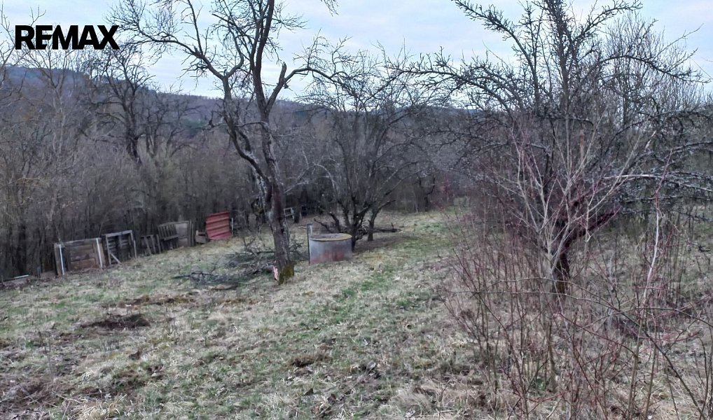 Prodej zahrady 1 853 m², Bílovice nad Svitavou – náhled fotky 9
