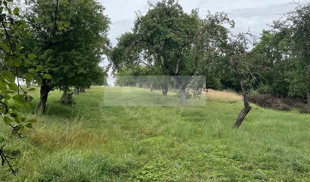 Prodej pozemku 11 900 m², Velké Všelisy – náhled fotky 12
