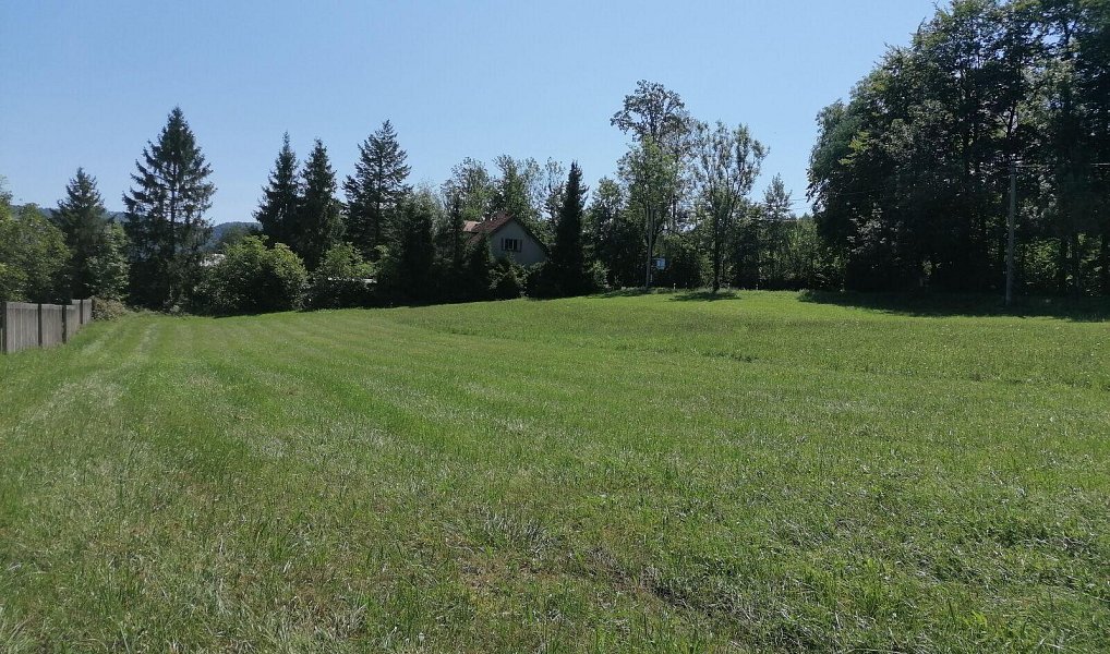 Prodej stavebního pozemku 1 171 m², Hostašovice – náhled fotky 3