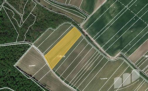 Prodej pozemku 1 767 m², Dolní Věstonice, okres Břeclav
