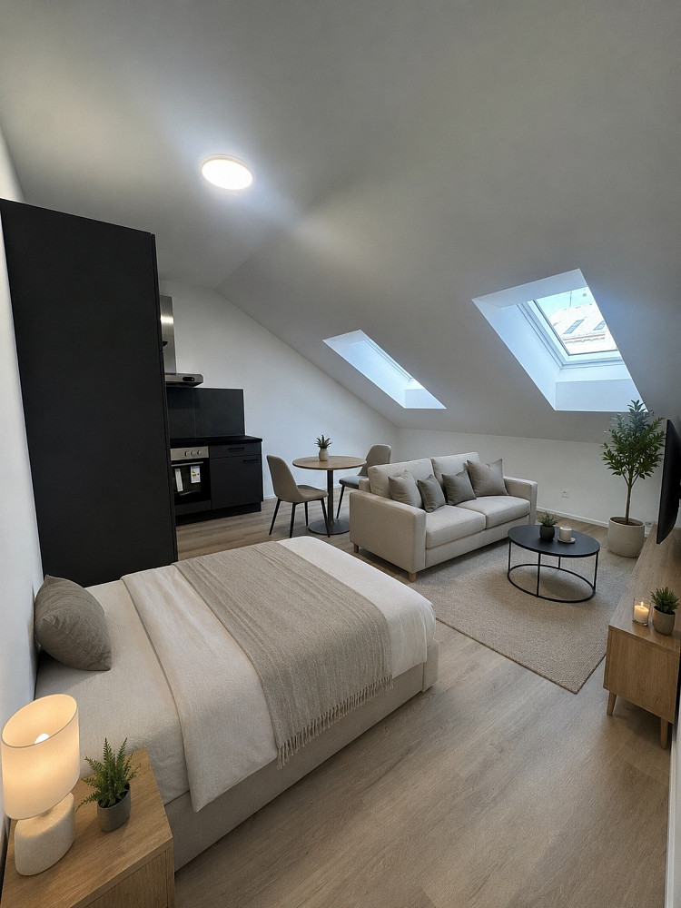 Pronájem bytu 1+kk 30 m²