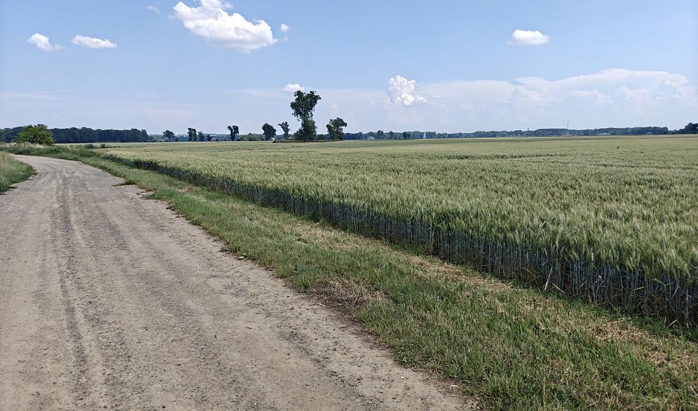 Prodej zahrady 800 m², Zálezlice – náhled fotky 6