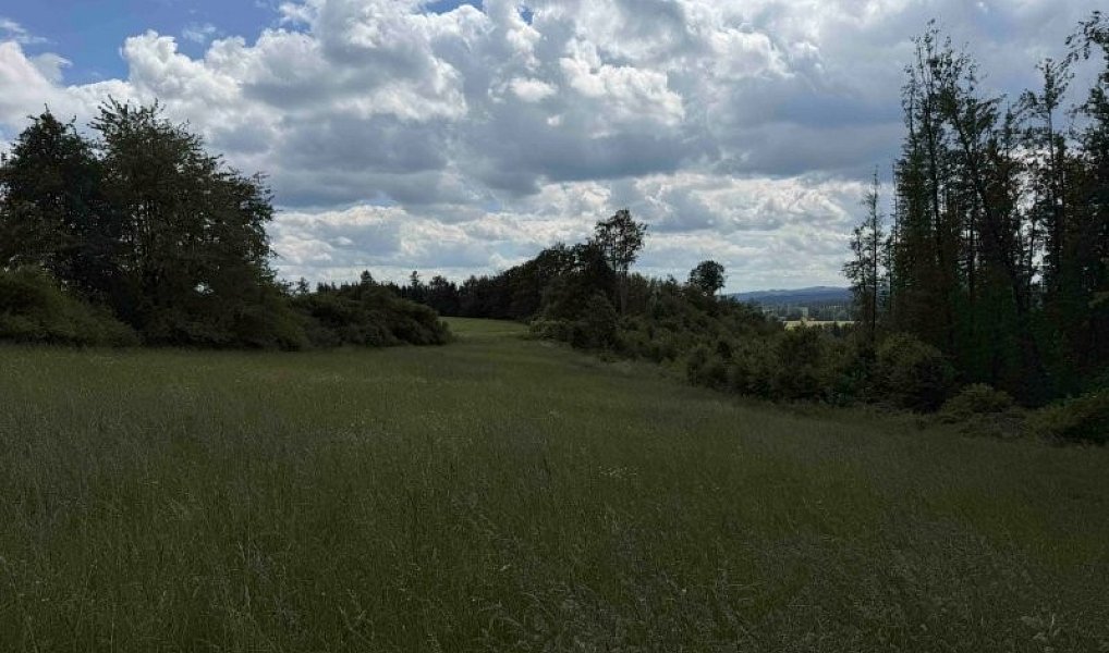 Prodej chaty/chalupy 50 m², Hybrálec – náhled fotky 16