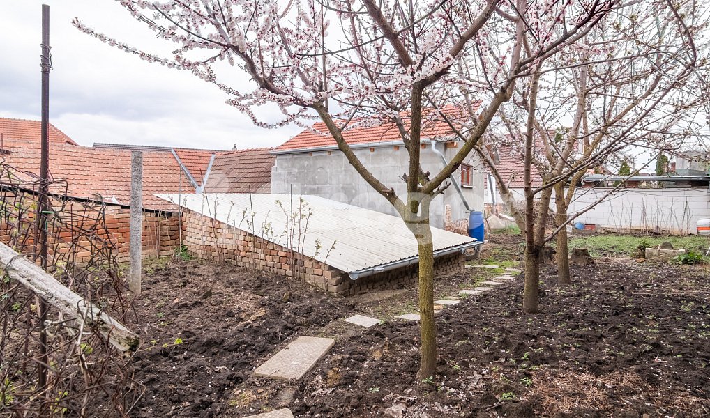 Prodej domu 35 m² s pozemkem 202 m², Bořetice – náhled fotky 16