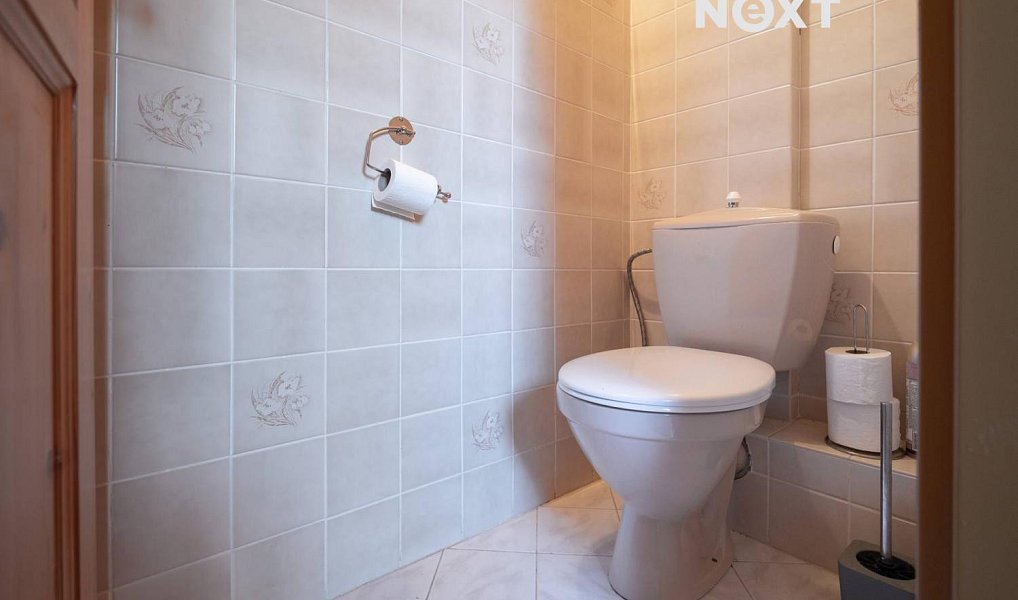 Prodej domu 90 m² s pozemkem 700 m², Pluhův Žďár – náhled fotky 23