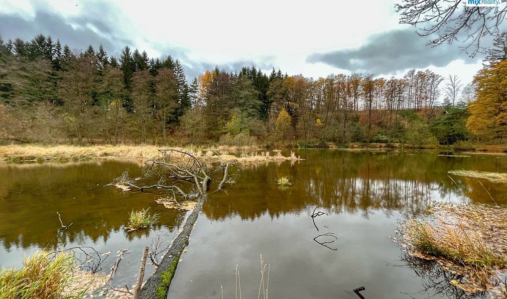 Prodej vodní plochy 14 487 m², Čmelíny – náhled fotky 14
