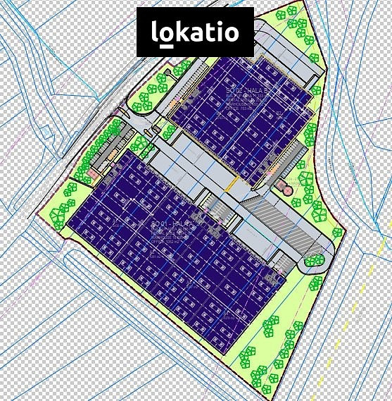 Pronájem skladovacích prostor 10 000 m² — photo 3