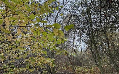 Prodej pozemku 9 174 m², Praha 1 - Vinohrady