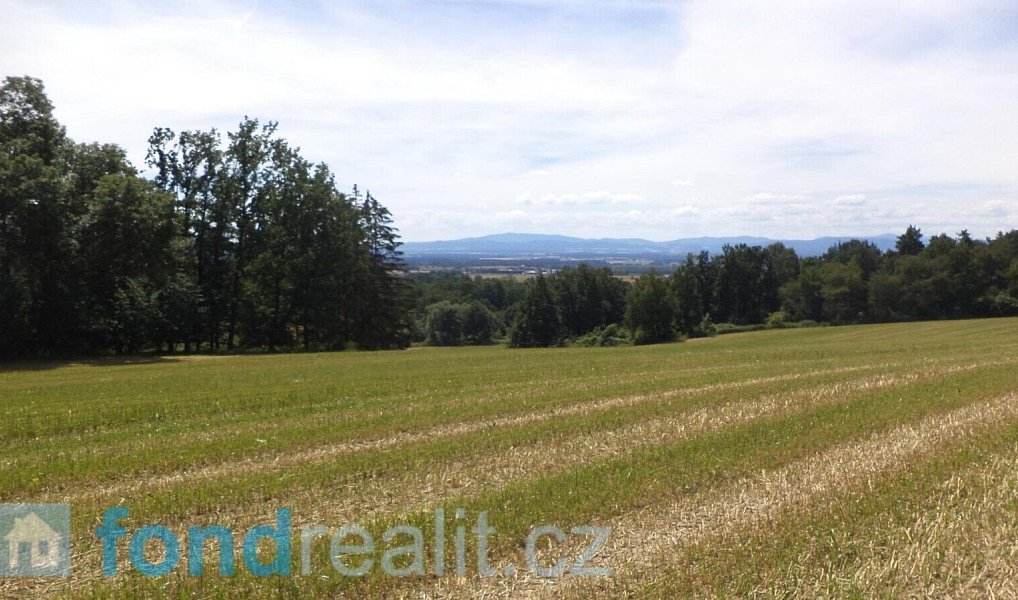 Prodej pole 18 412 m², Dříteň – náhled fotky 2