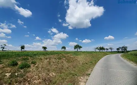 Prodej stavebního pozemku 3 826 m², Čistá, okres Mladá Boleslav