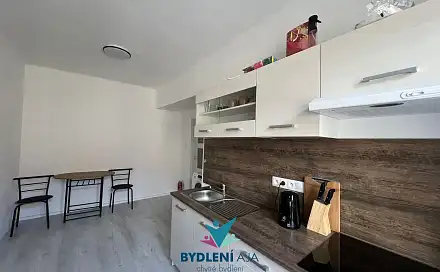 Prodej bytu 1+1 42 m², 14. října, Teplice - Trnovany