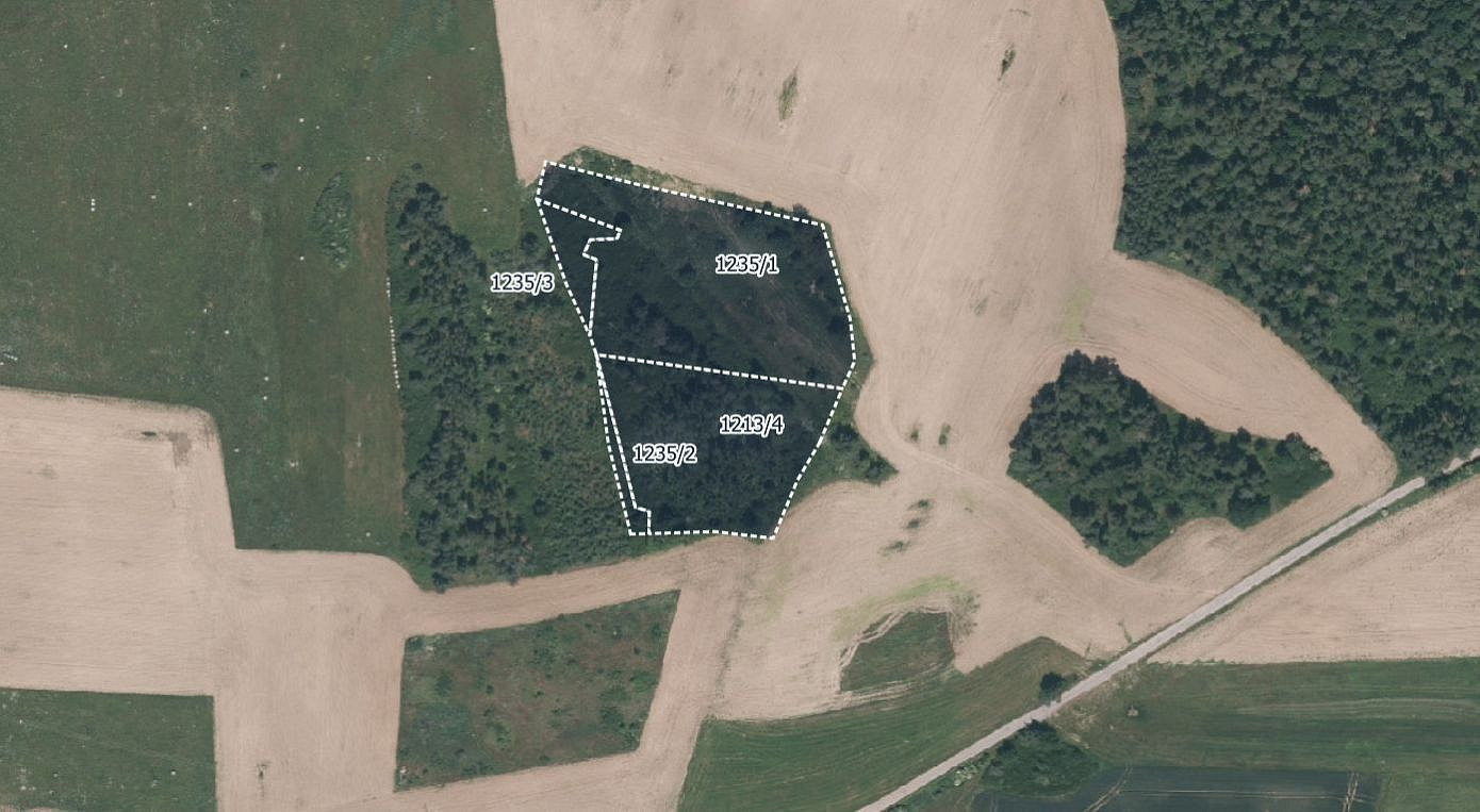 Prodej lesa 16 139 m²