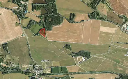 Prodej pole 7 083 m², Františkovy Lázně - Krapice, okres Cheb