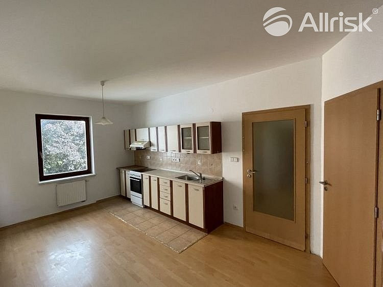 Pronájem bytu 2+1 48 m²