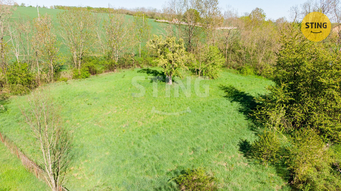 Prodej stavebního pozemku 2 480 m² – fotografie 3