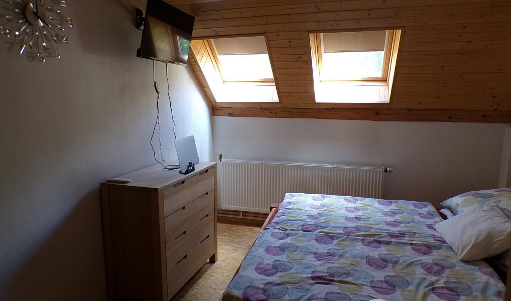 Prodej domu 205 m² s pozemkem 6 330 m², Čestín – náhled fotky 11