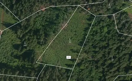 Prodej lesa 4 046 m², Přechovice, okres Strakonice
