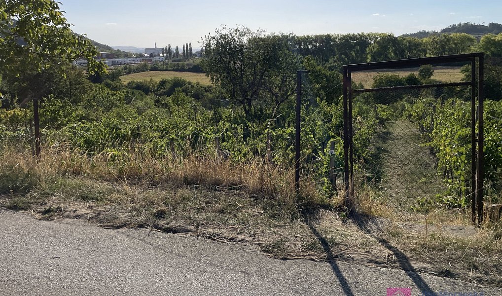 Prodej zahrady 1 256 m², Mikulov – náhled fotky 4
